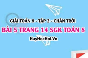 Bài 5 trang 14 Toán 8 Tập 2 Chân trời sáng tạo: Tìm Điểm Thuộc Đồ Thị Hàm Số